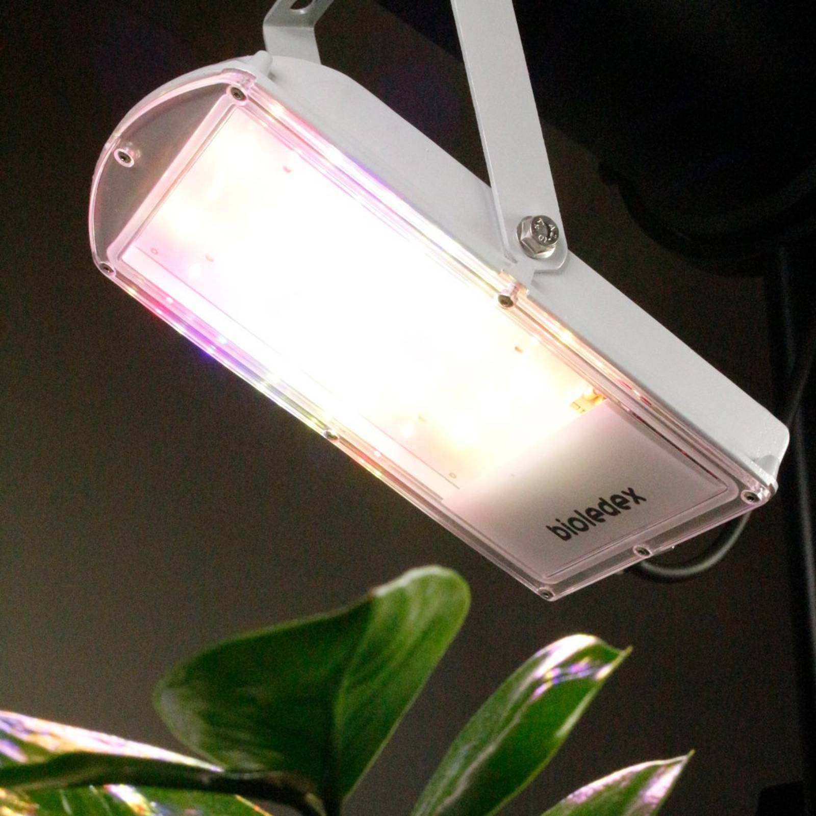 LED-kasvilamppu GoLeaf 28W S2 rungon kasvu