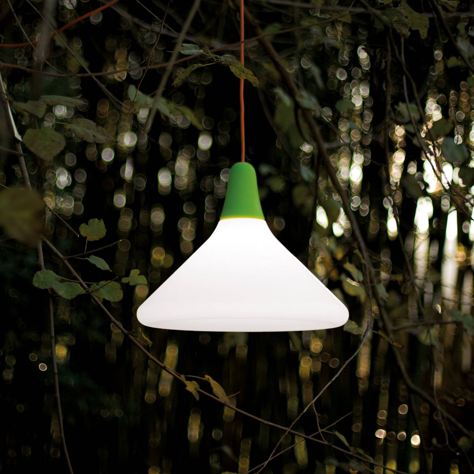 Martinelli Luce -diffuusori, Ciulifruli, 50x40cm