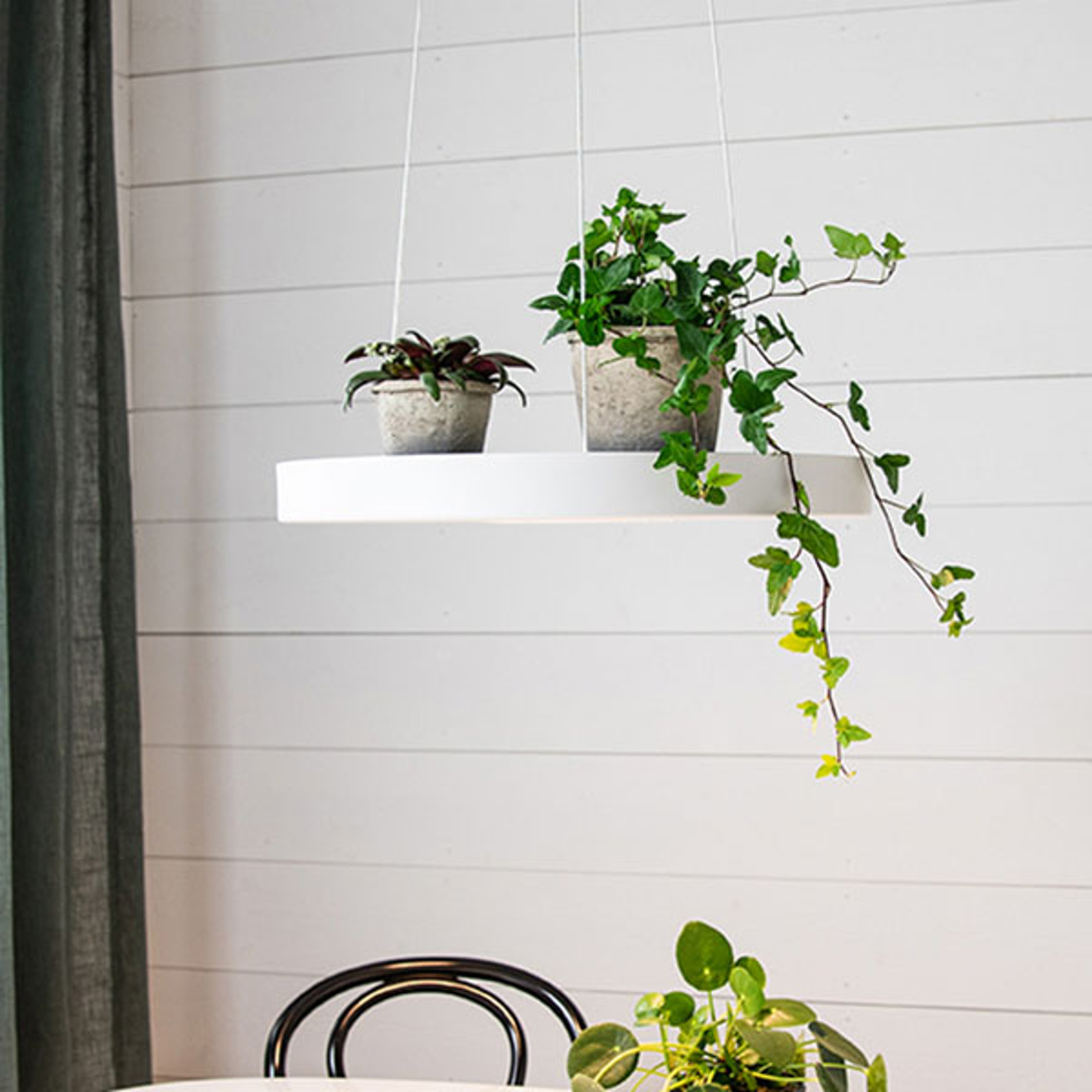 LED-riippuvalaisin Plate, valkoinen