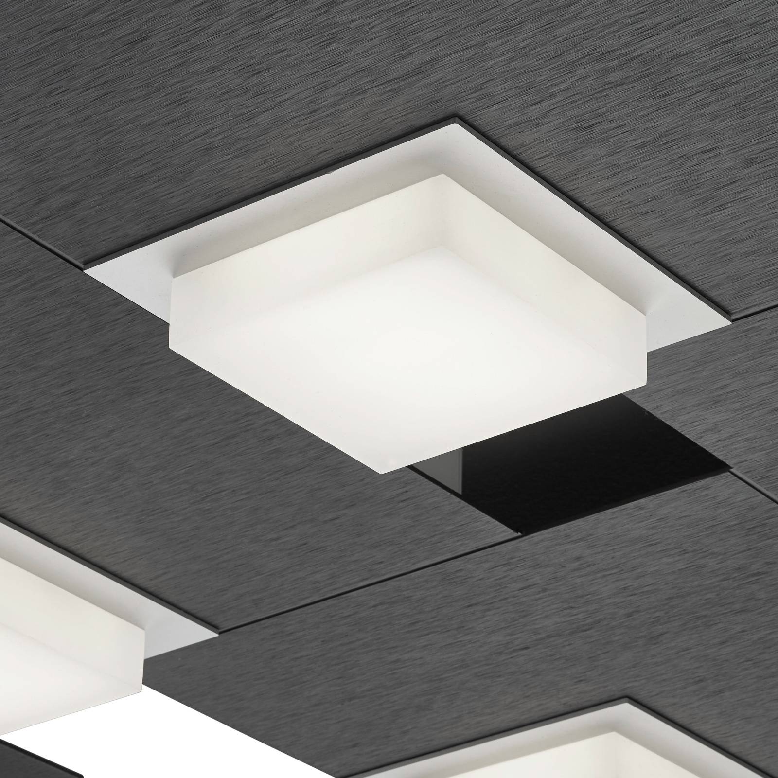 BANKAMP Quadro LED-kattovalaisin 64W, antrasiitti