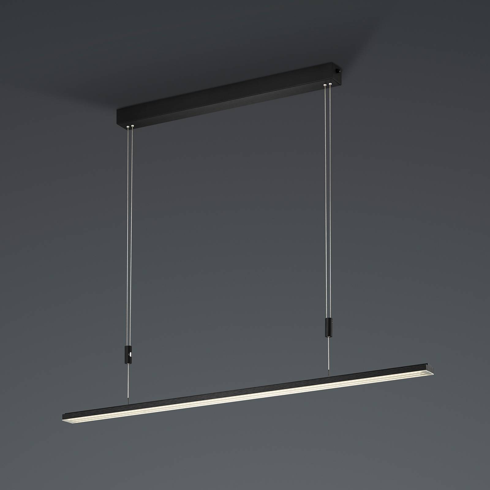 BANKAMP L-lightLINE CCT VerticalDim ZigBee musta