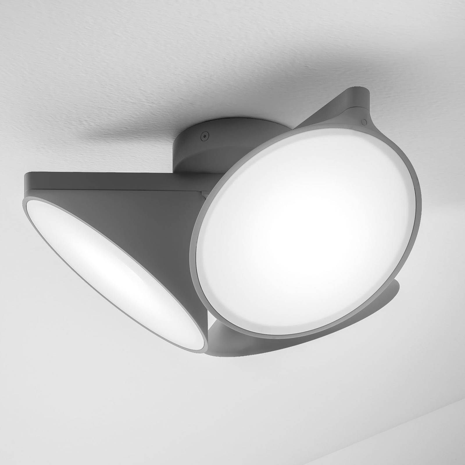 Axolight Orchid LED-kattovalaisin, tummanharmaa