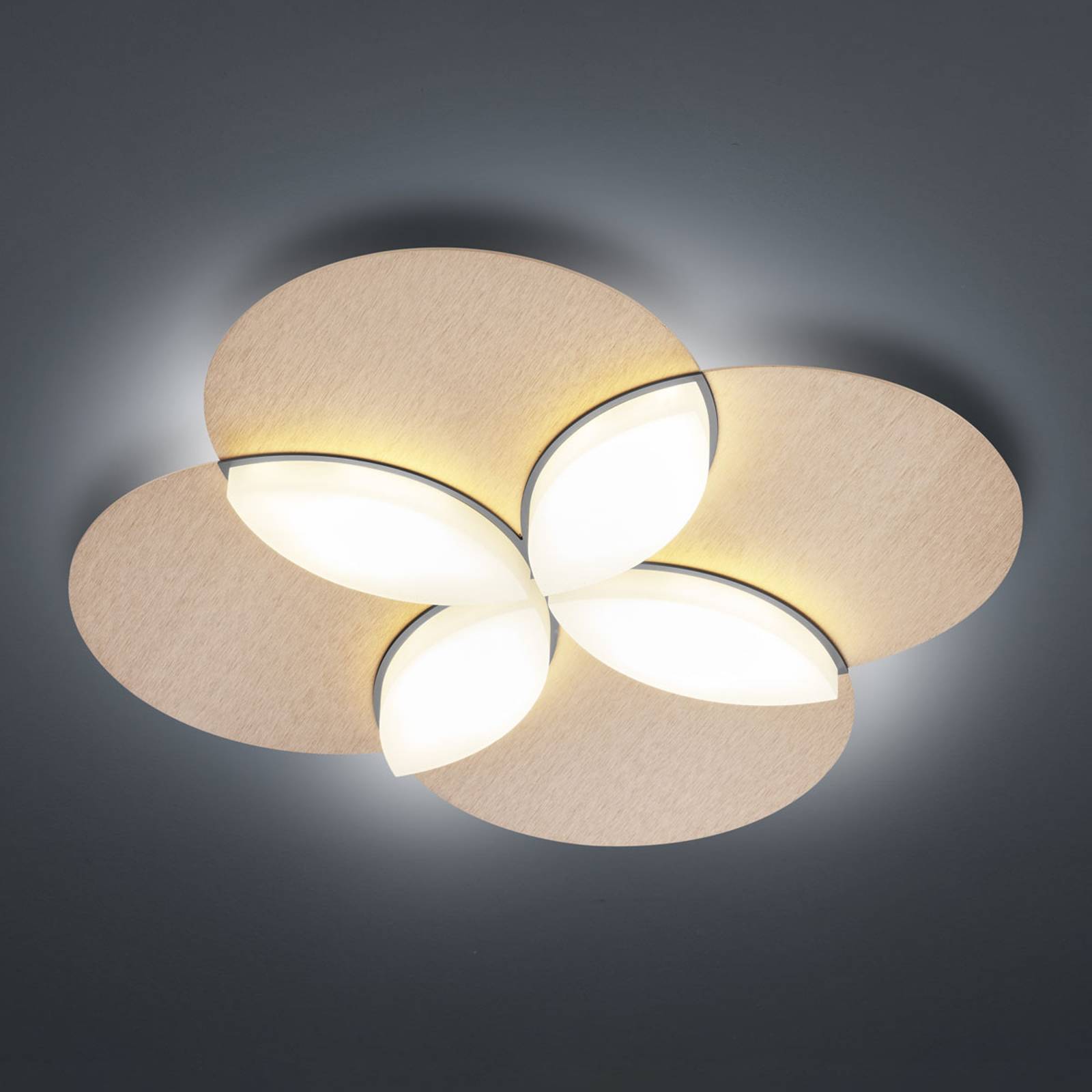 BANKAMP Spring -LED-kattovalaisin, ruusukulta