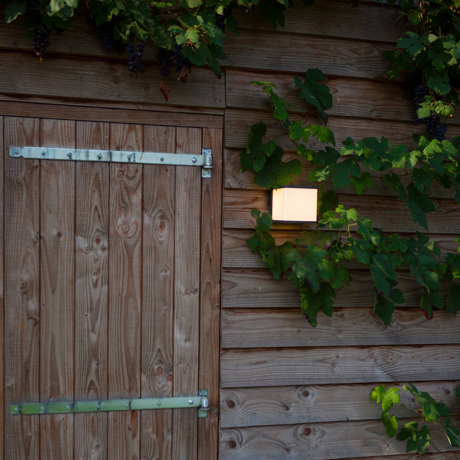 LED-ulkoseinälamppu Doblo, korkeus 15 cm