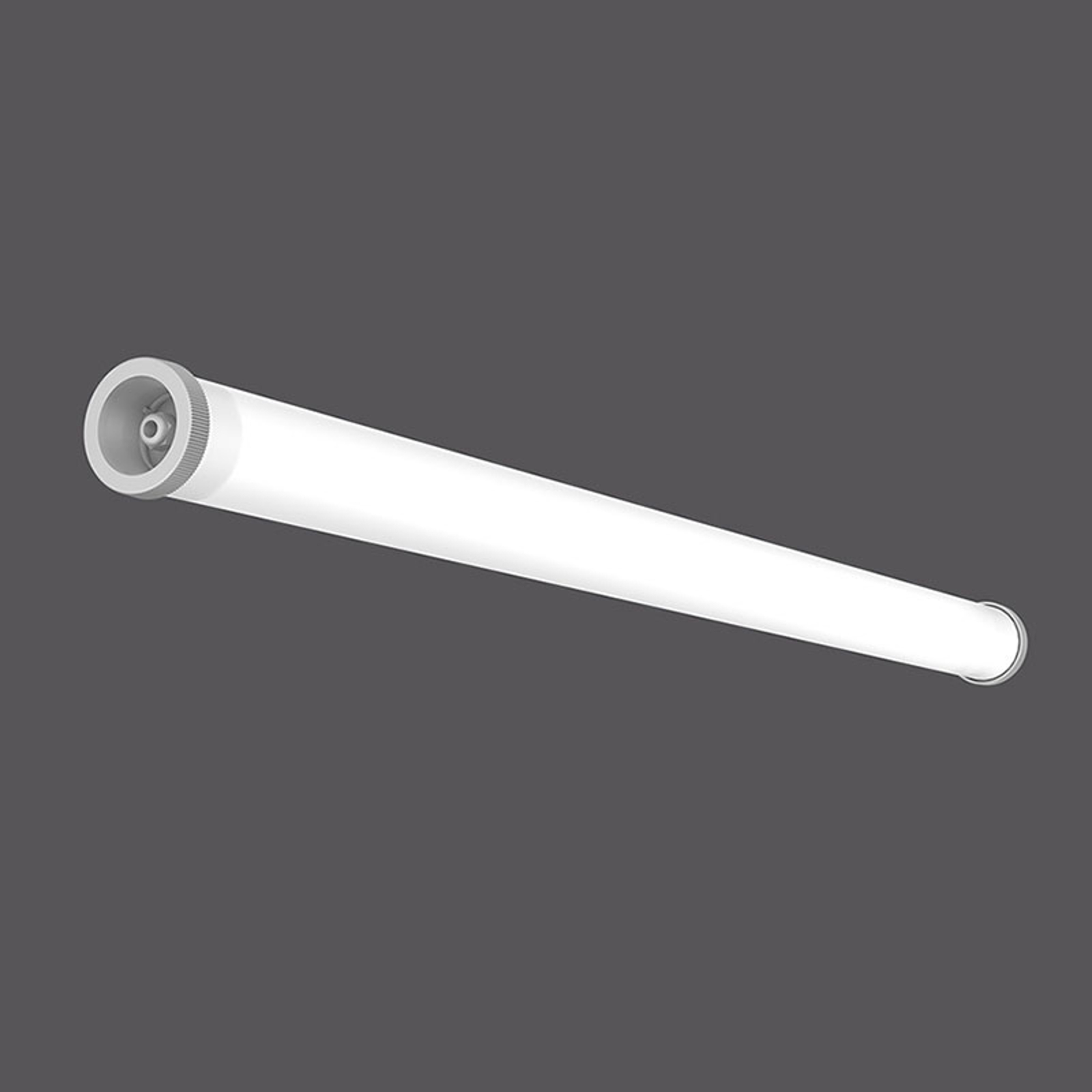 RZB Planox Tube Farm kosteantilanlamppu 45W124,5cm