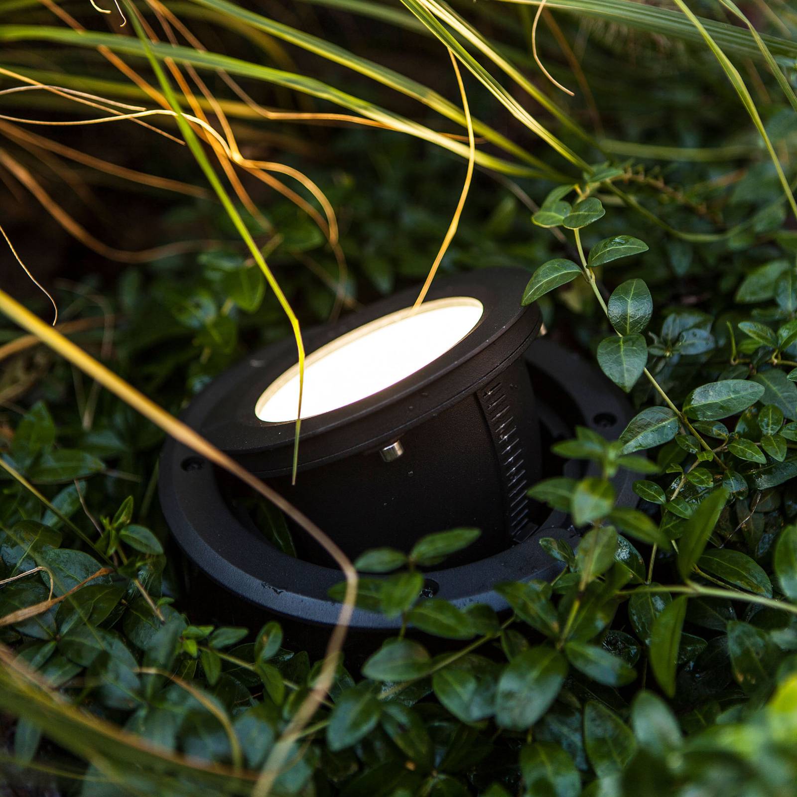 LED-lattiauppovalaisin Arctic, pyöreä
