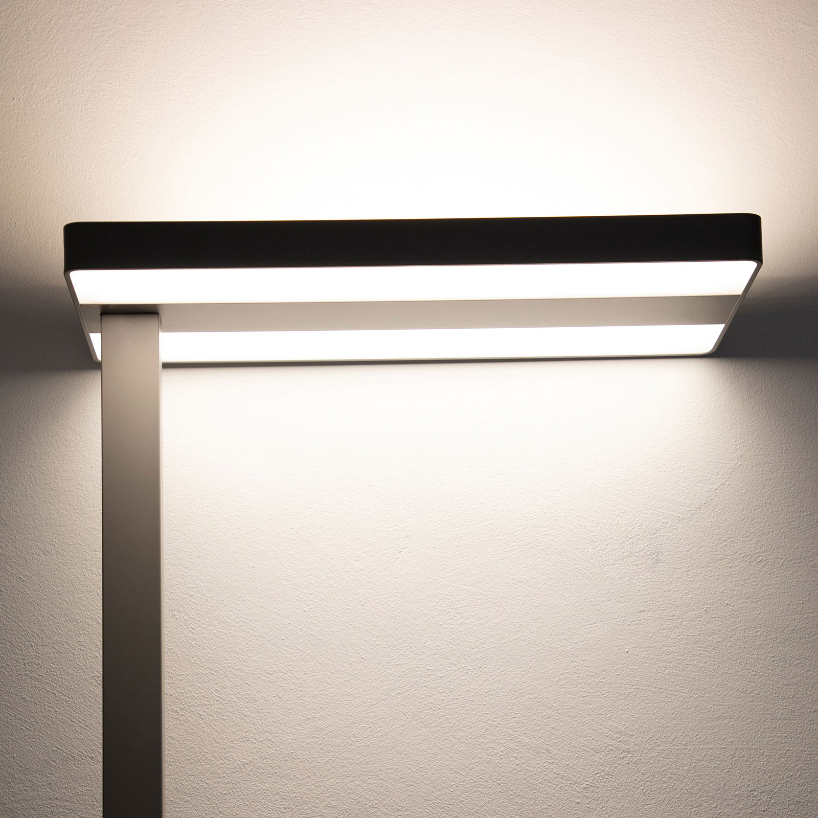 LED-lattiavalo MAULjaval, klipsijalka, himmennin