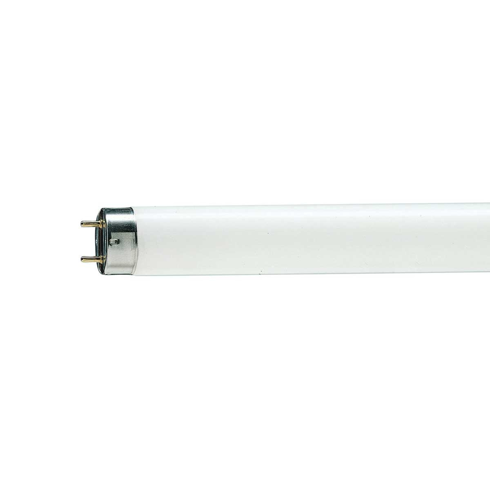 G13 T8 36 W Loistelamppu MASTER TL-D Graphica 950