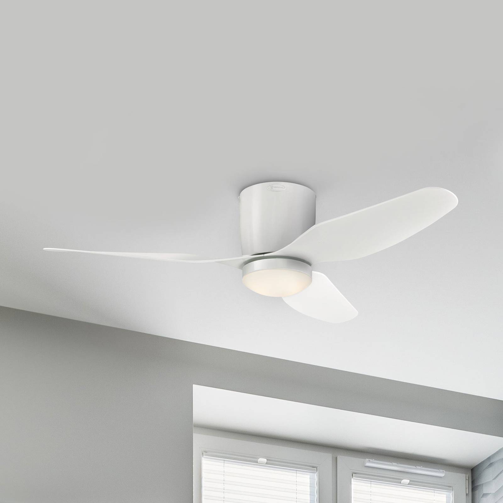 Westinghouse Carla -LED-kattotuuletin valkoinen