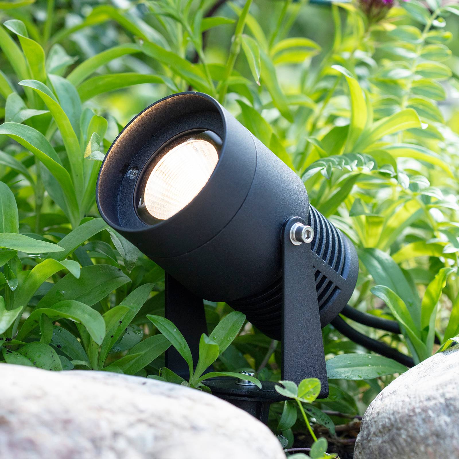 Garden 24 -LED-kohdevalo, musta, 3 W