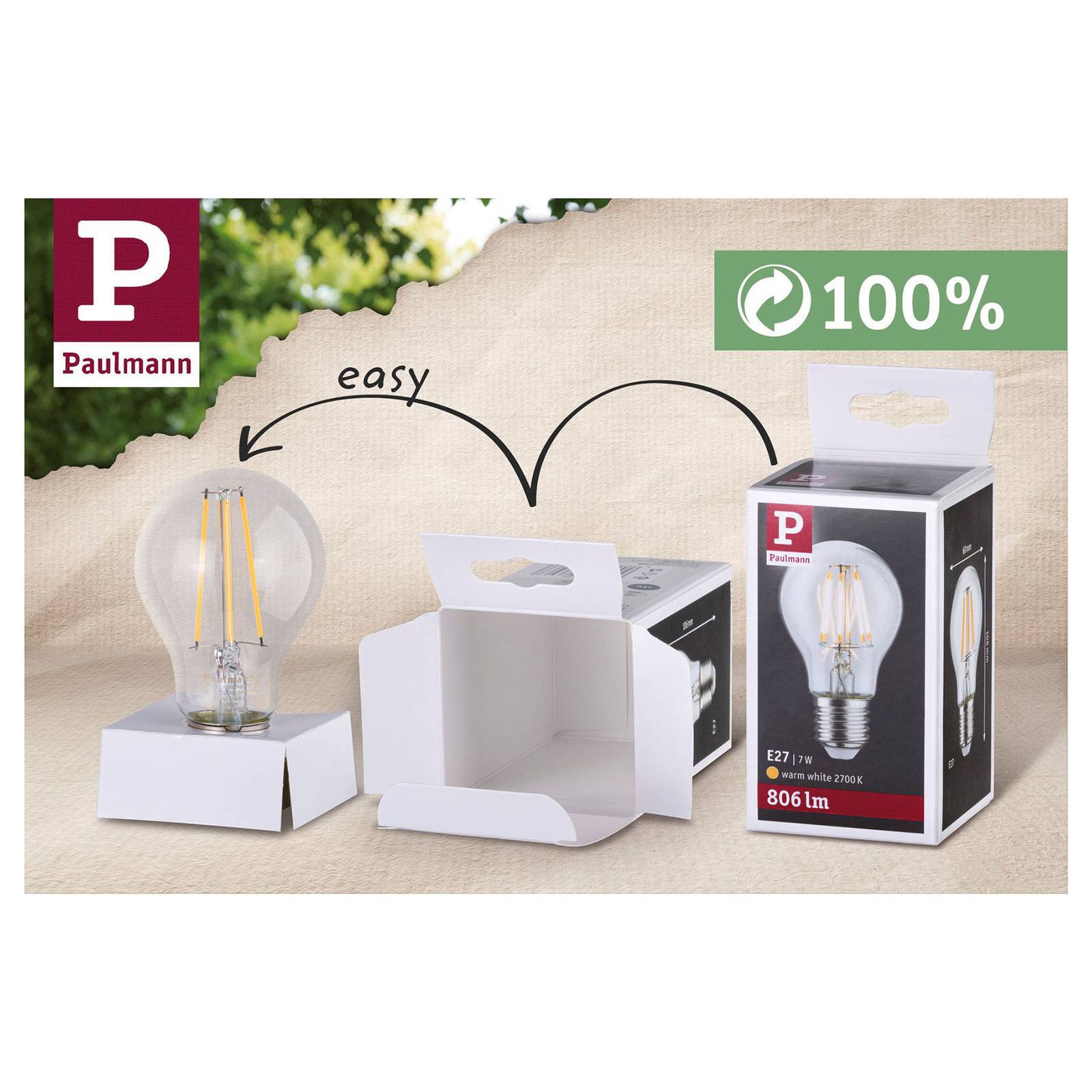 Paulmann-LED-golfpallolamppu E14 5W 865 470 lm