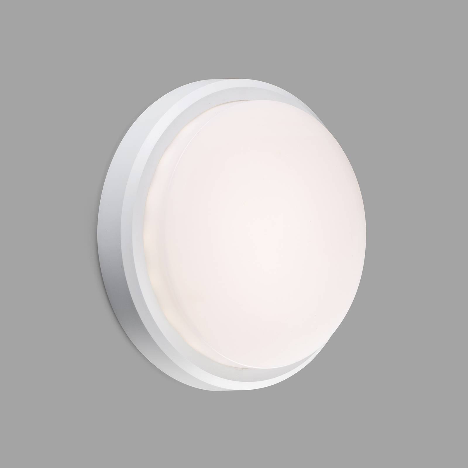 LED-ulkoseinälamppu Tom XL, IK10, valkoinen
