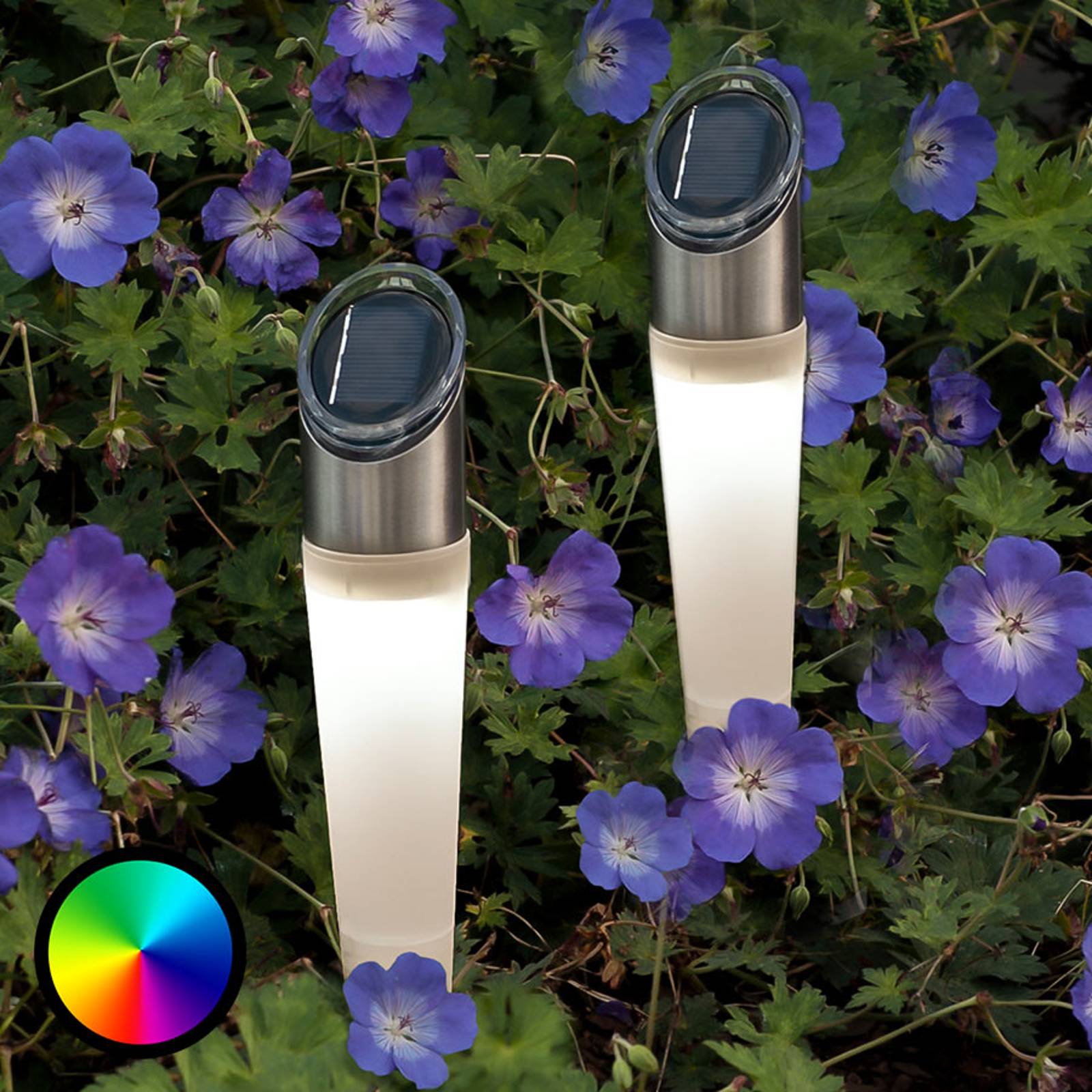 Aurinkokäyt. RGB-LED-maapiikkivalo Assisi, 2 kpl