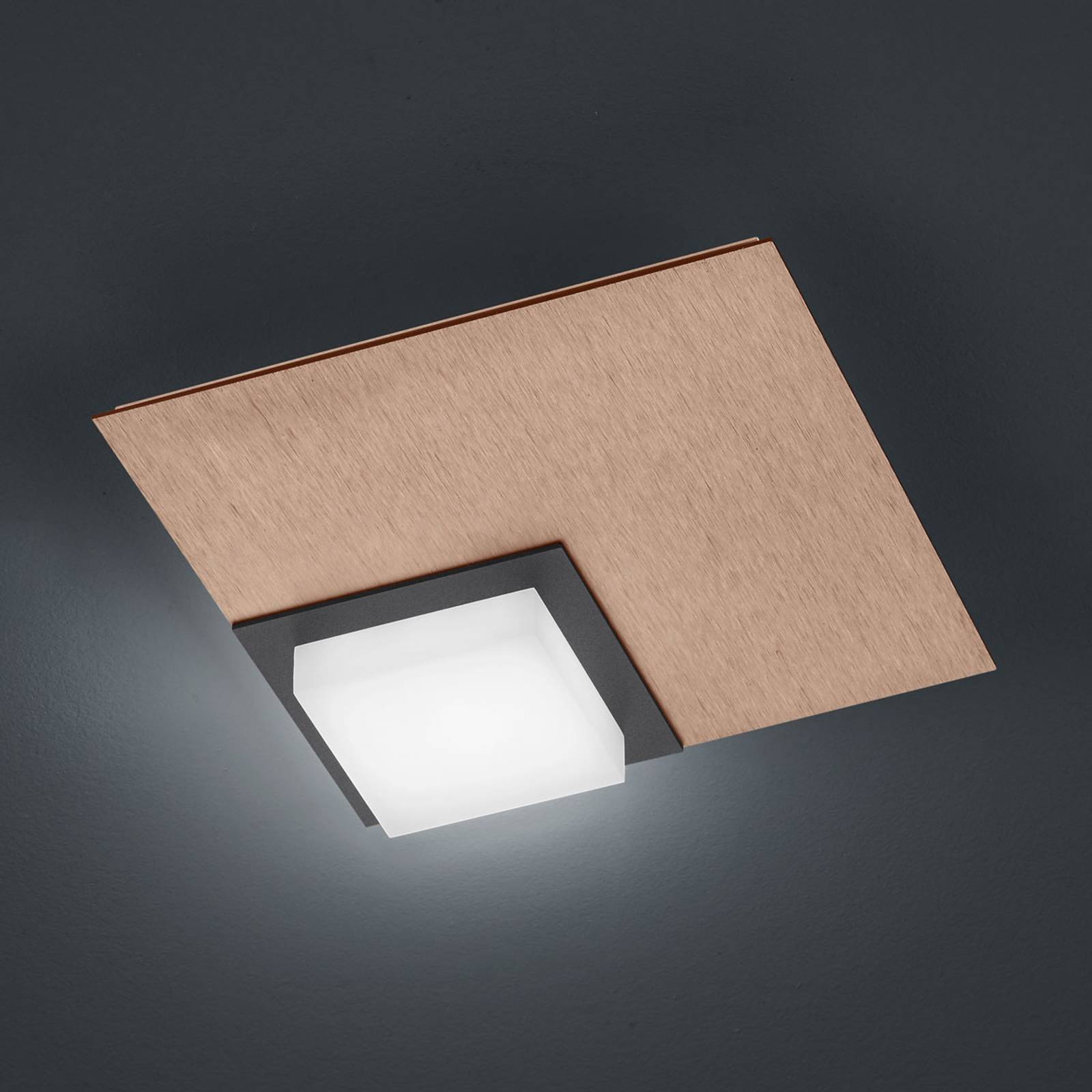 BANKAMP Quadro LED-kattovalaisin 8W ruusukulta