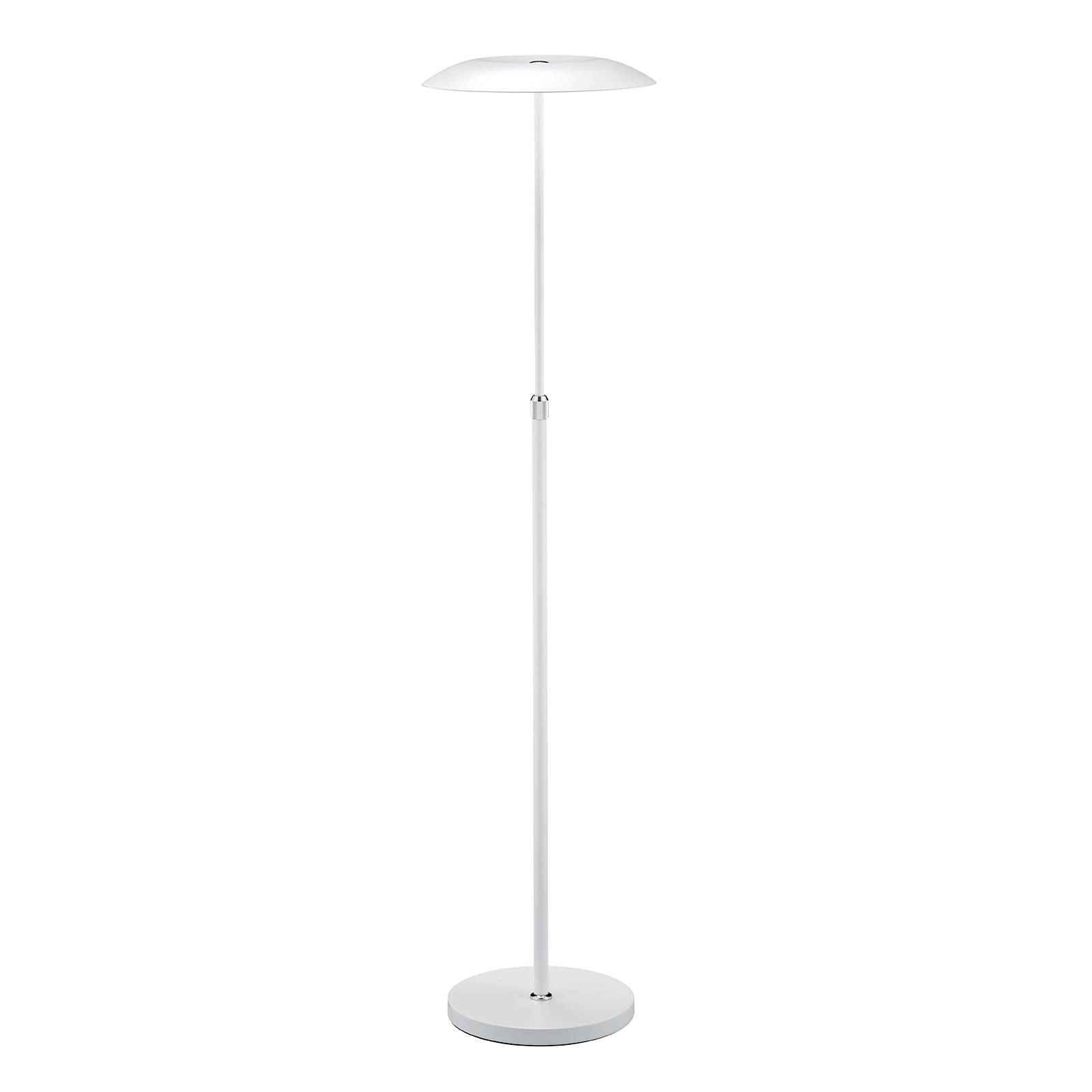 B-Leuchten Curling LED-lattiavalo valkoinen
